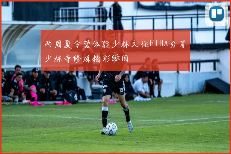 两周夏令营体验少林文化FIBA分享少林寺修炼精彩瞬间